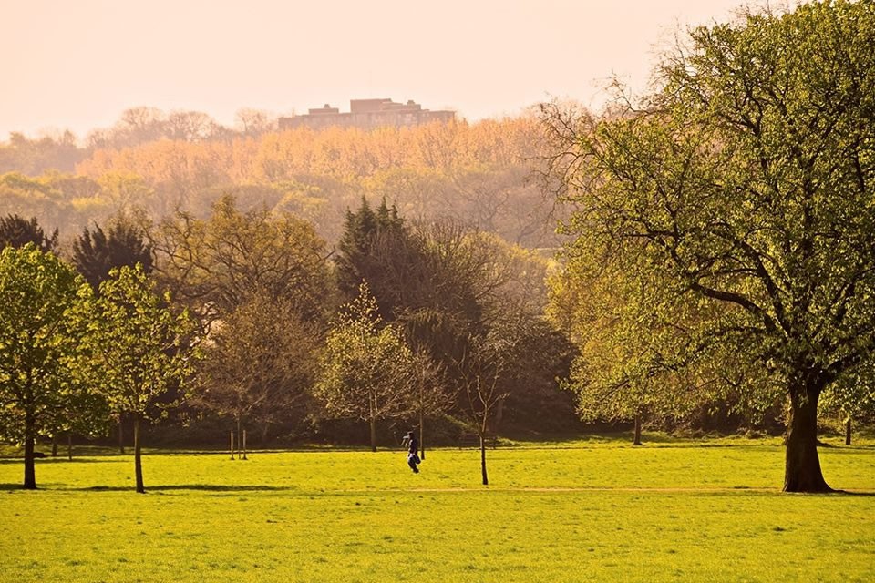 Dulwich park in London - safest places to live london 