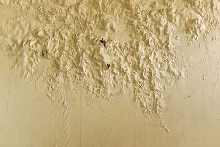 Damp Proofing Your Rented Home 