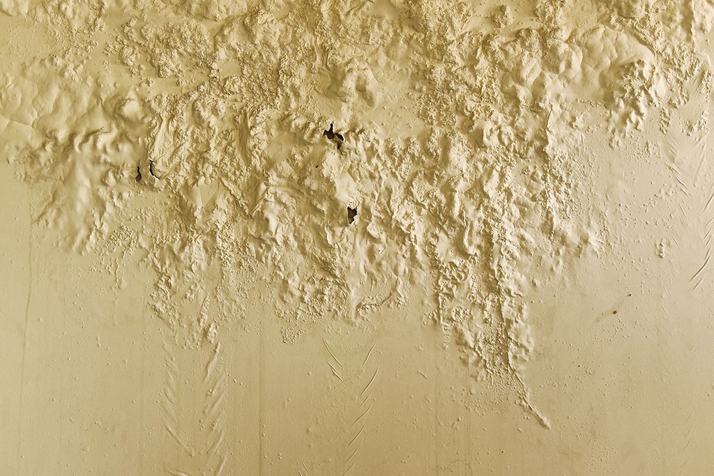 mould on a beige wall